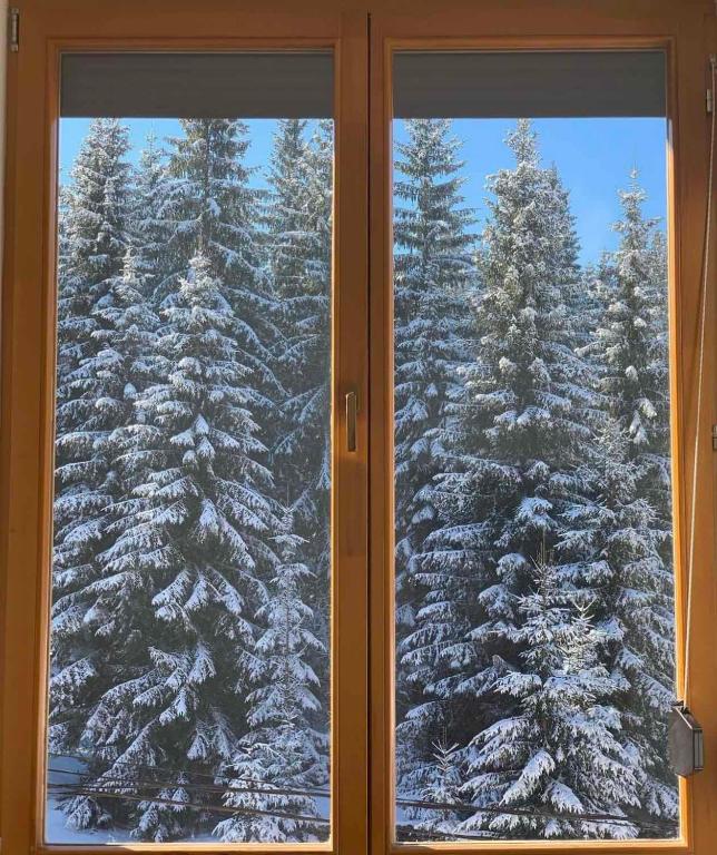 Apartman Jahorina 6 - 1