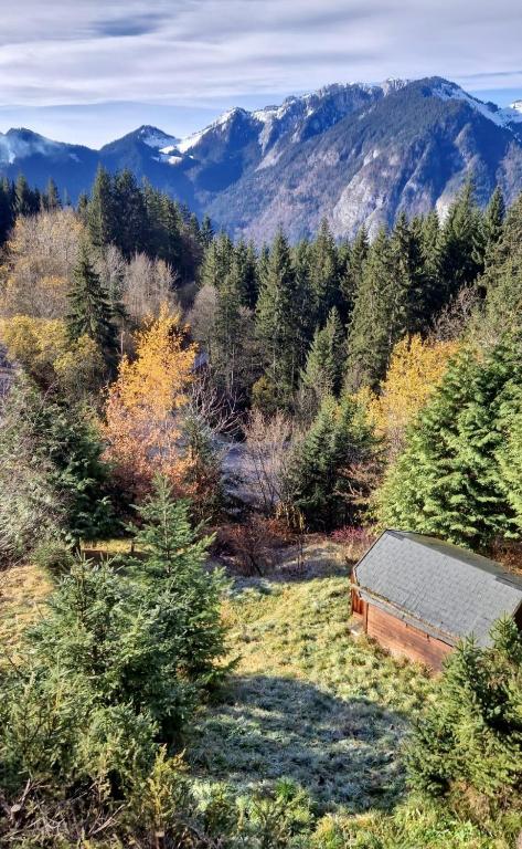 Alpine 1 bed Chalet with beautiful views - 4
