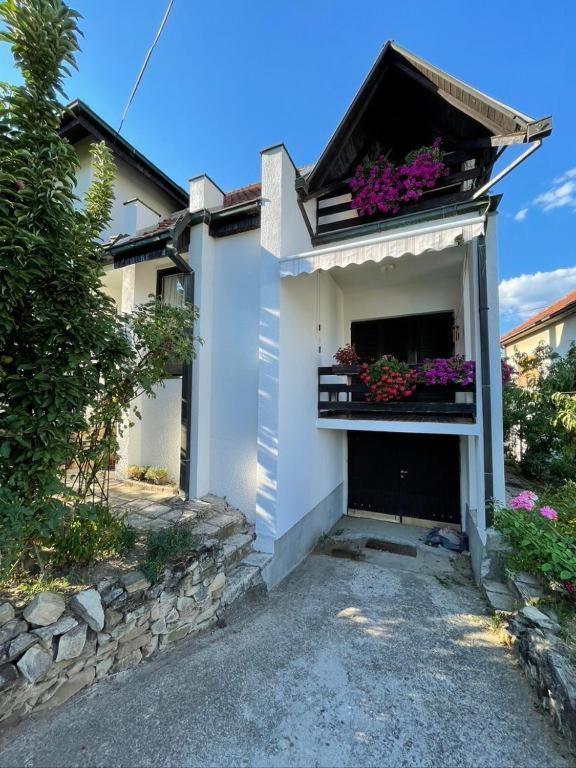 Vidikovac Vrnjačka Banja - 1