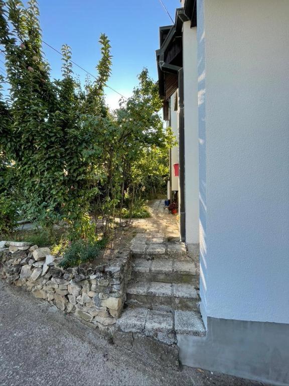 Vidikovac Vrnjačka Banja - 2