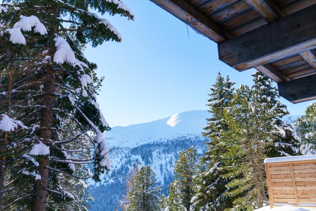 Luxalps- Turrach Alm Chalets Nr 1-4 Grünsee- Sauna- Skifahren- Wandern- Natur - 3
