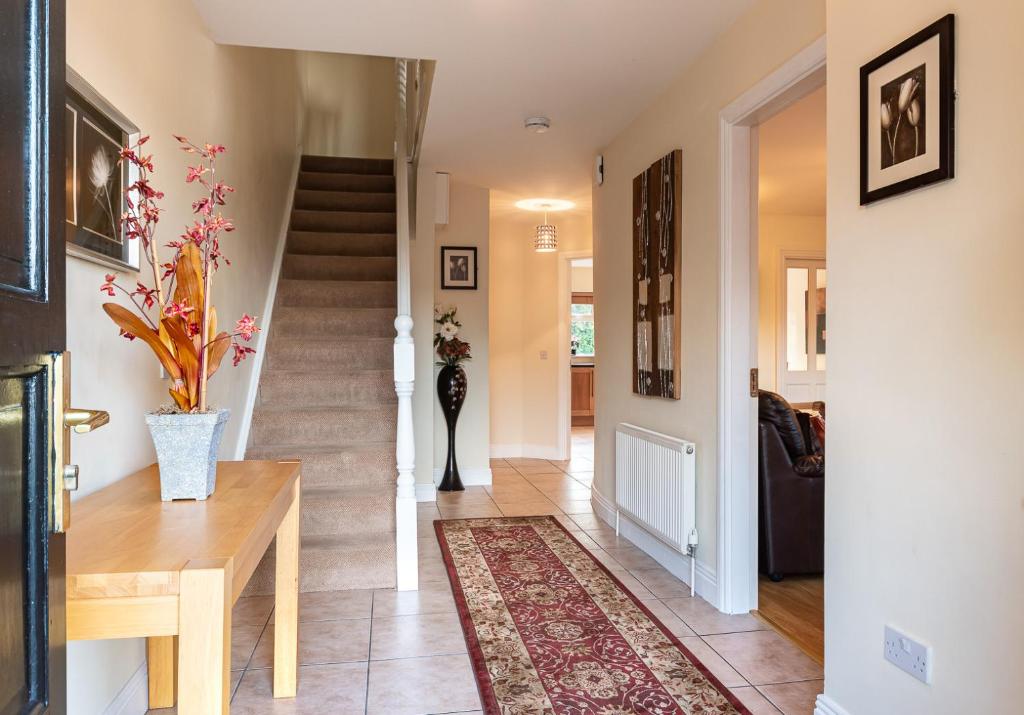 Foley's Guesthouse & Self Catering Holiday Homes photo