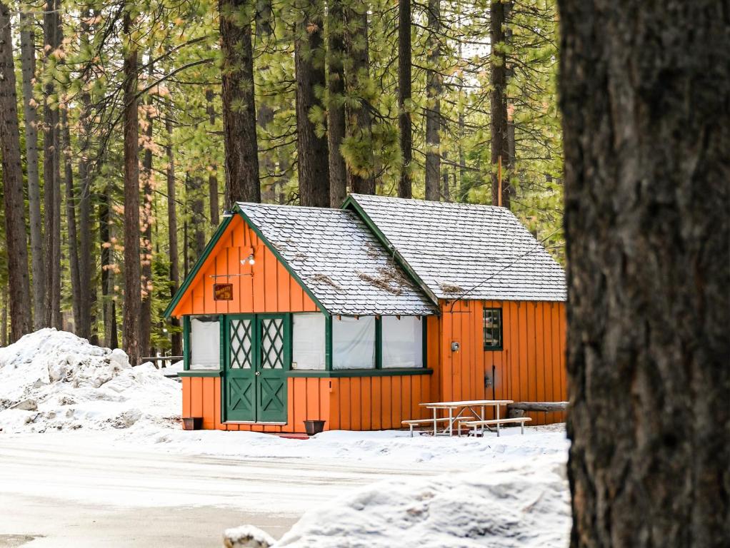 Tahoe Valley Cabin 1 photo