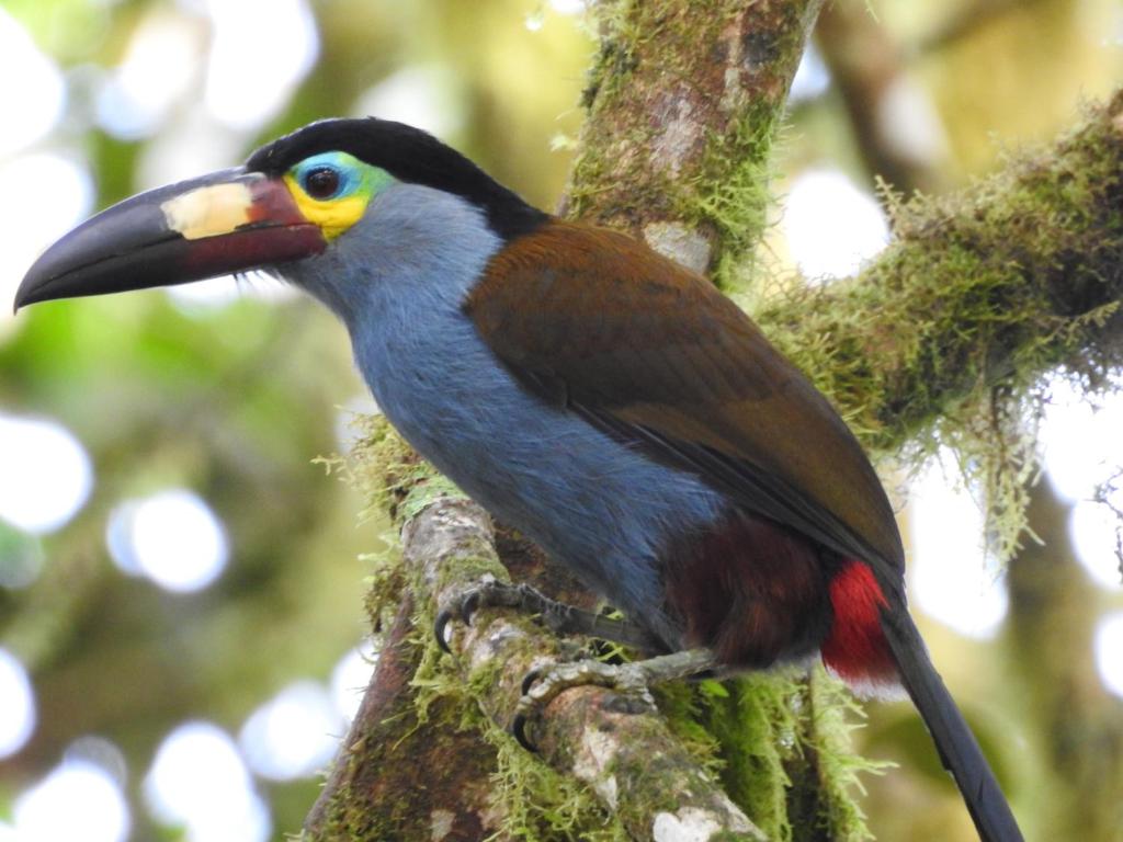 Surrounding environment