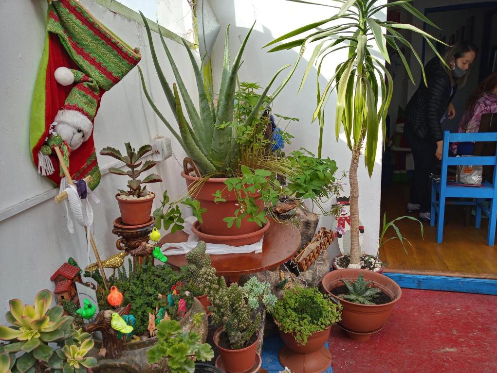 Posada Azul Cusco photo