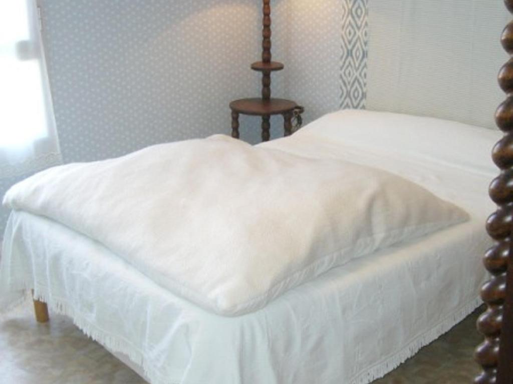 Appartement central avec garage à 2 min de la plage, balcon, wifi, proche commerces - FR-1-197-188 - 5