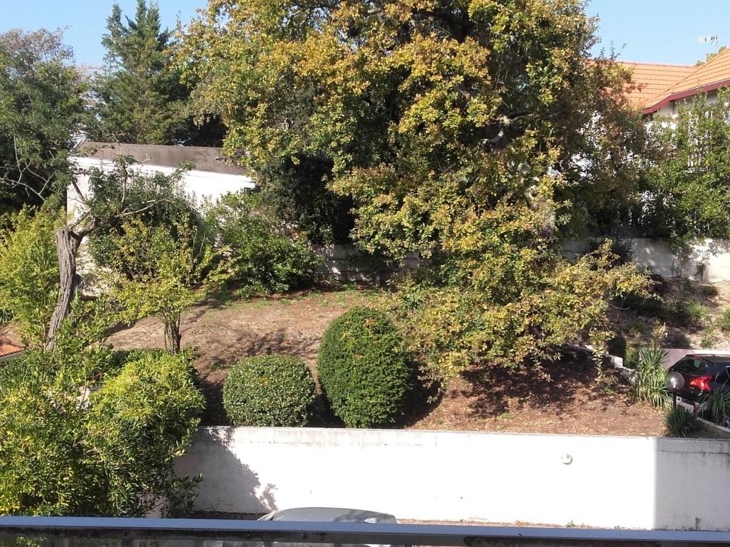 Appartement T2 à Arcachon - Centre-Ville, Proche Plage et Commerces, avec Parking et Balcon - FR-1-319-12 - 2