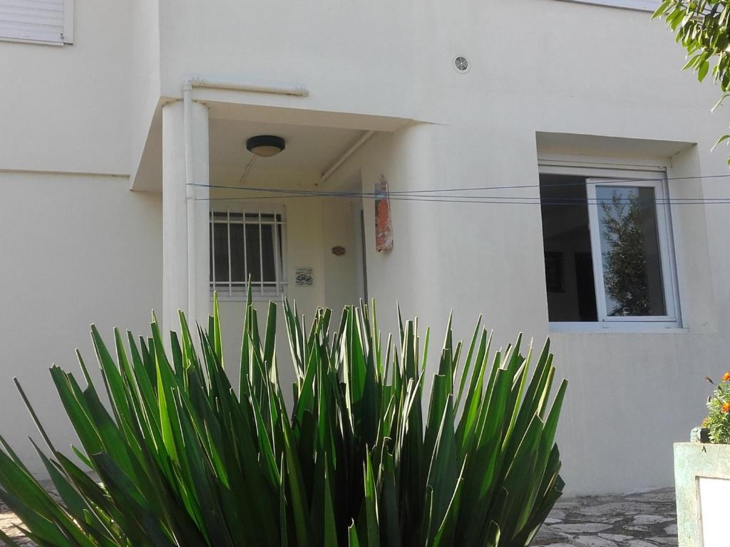 Appartement T2 avec Terrasse et BBQ, Proche Centre Arcachon et Plages - FR-1-319-85 - 2