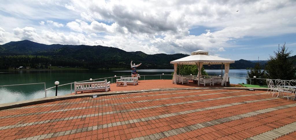 Vila Franceza - Cazare cu jacuzzi pe malul lacului Colibita photo