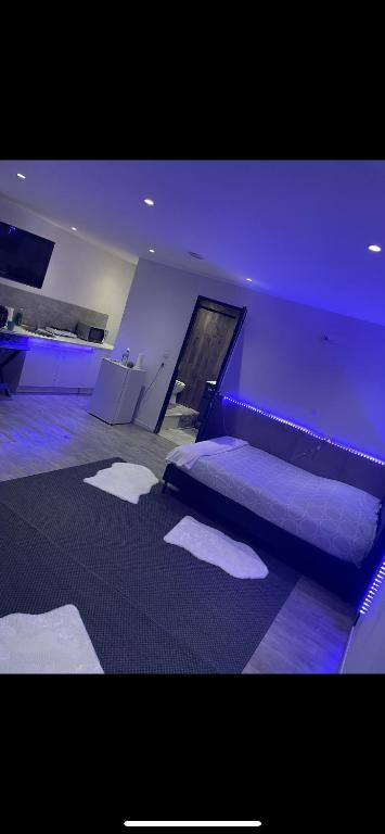 Appartement Montpellier avec beau jardin - 3