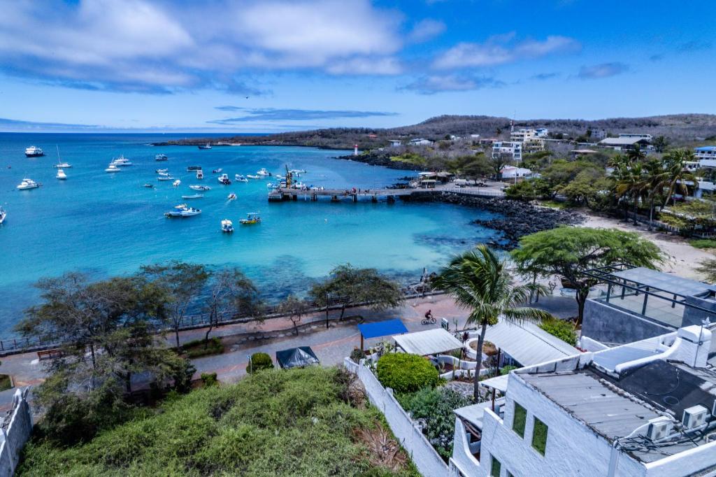 Casa Opuntia — Hotel in Galapagos