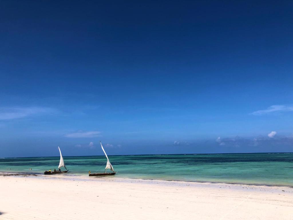 Sultan Sands Island Resort & Spa — Beach in Kiwengwa, Zanzibar North