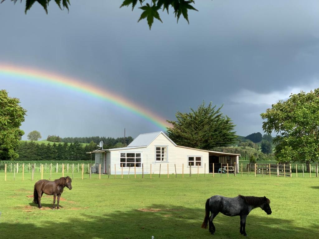 Cliff Top Cottage, Ohingaiti