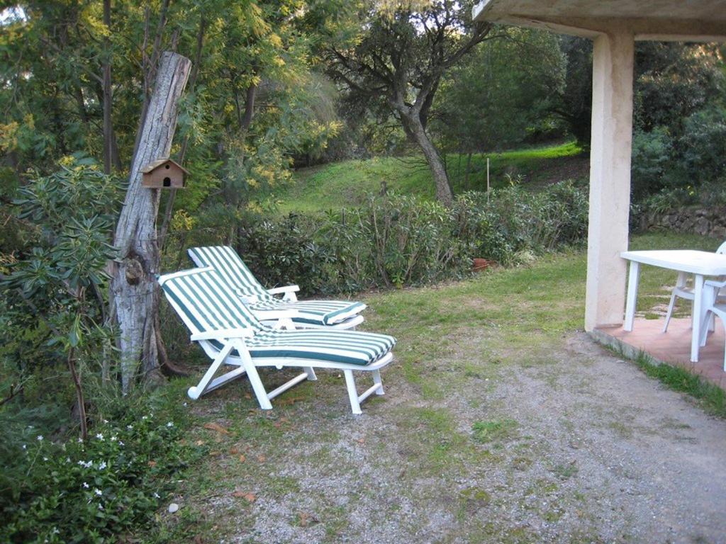 Charmant T3 avec Terrasse et Jardin, Quartier Super Cavalaire, Parking Inclus - FR-1-100-183 - 1