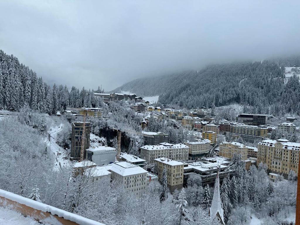 Panorama & SPA Apartment Kaiser Franz Josef I im DAS SCHILLER - 5