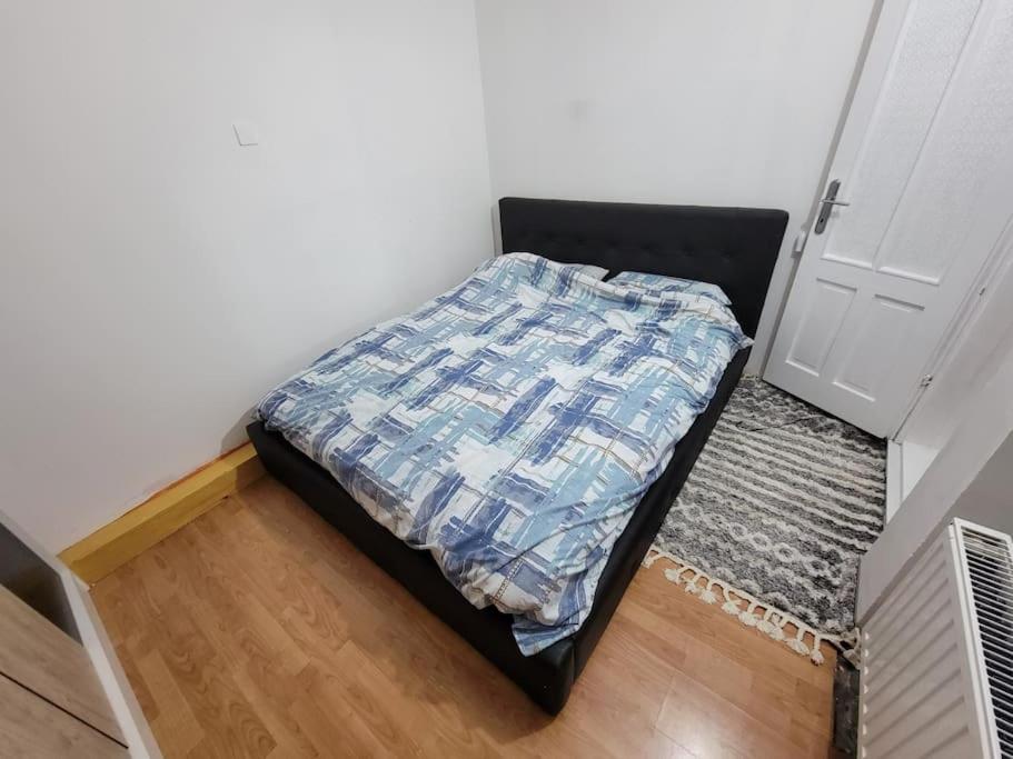 Spacious Apartment in Novi Sad - 2