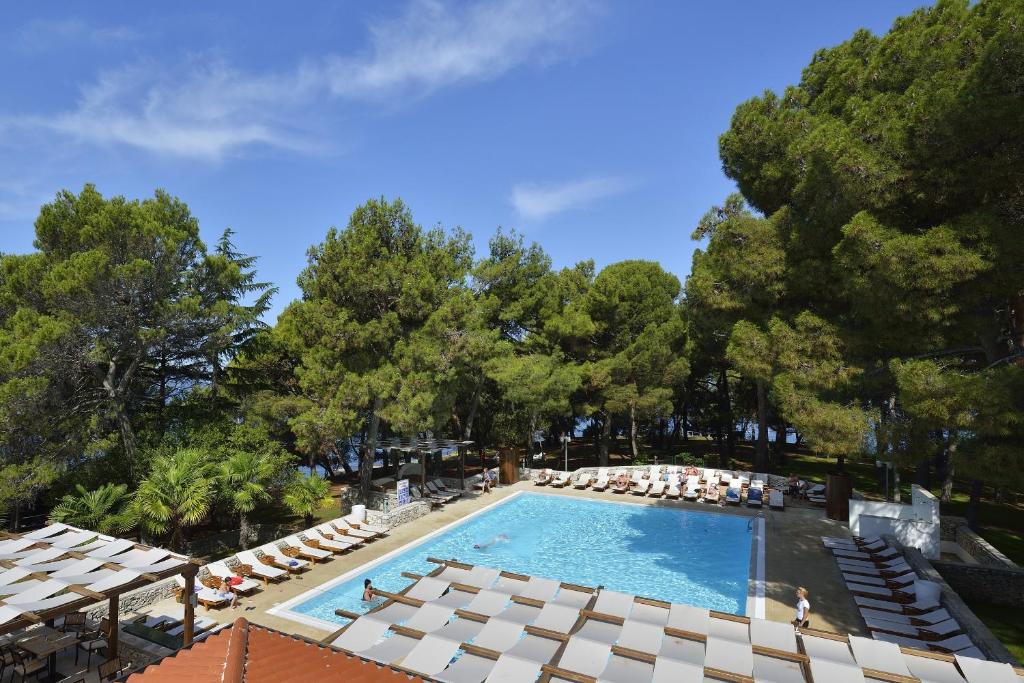 Apartments Galijot Plava Laguna — Swimming pool in Poreč, Istria