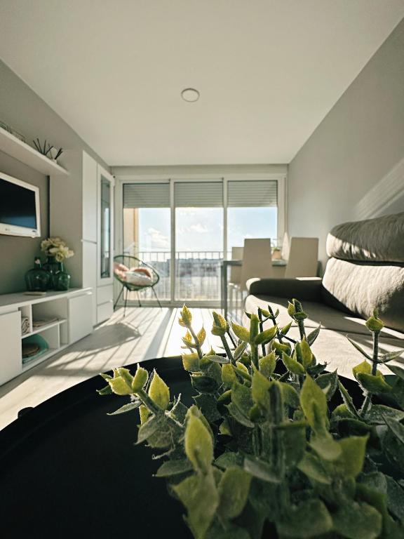 Apartamento Paradis Playa - 5