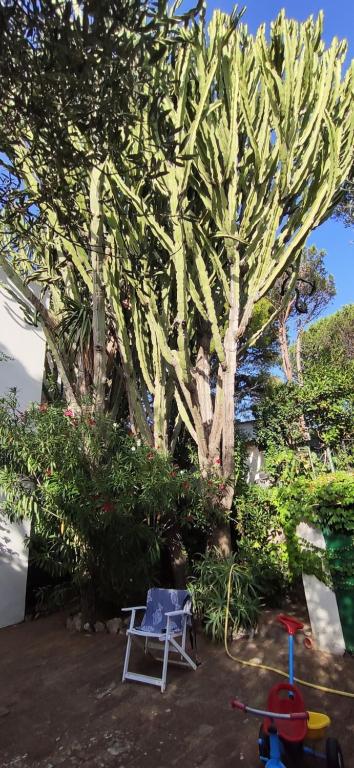 Casa Lucky - Anacapri photo