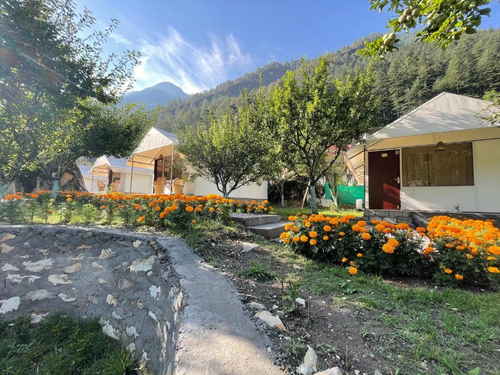 Silken Hive by Nomadic Monk — Hotel in Kasol