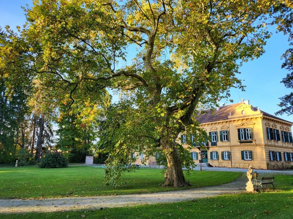 Palais Kneissl - 2