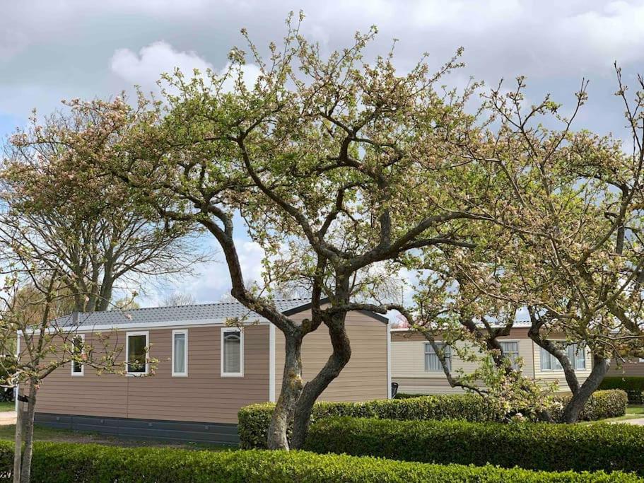 Gezellig chalet in het mooie Zeeland - Oostkapelle, Oostkapelle