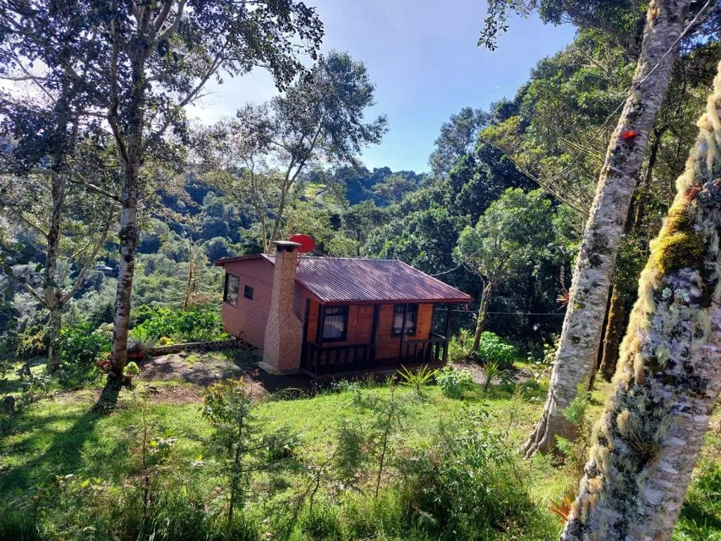 Las Bromelias Lodge, hotel in Paso Macho