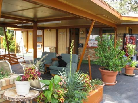 Walnut Forest Motel, Austin