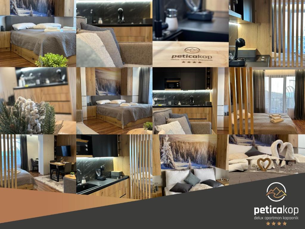 Apartman PETICA KOP A8 Kopaonik - 2