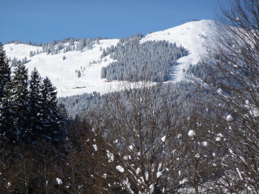 Surrounding environment