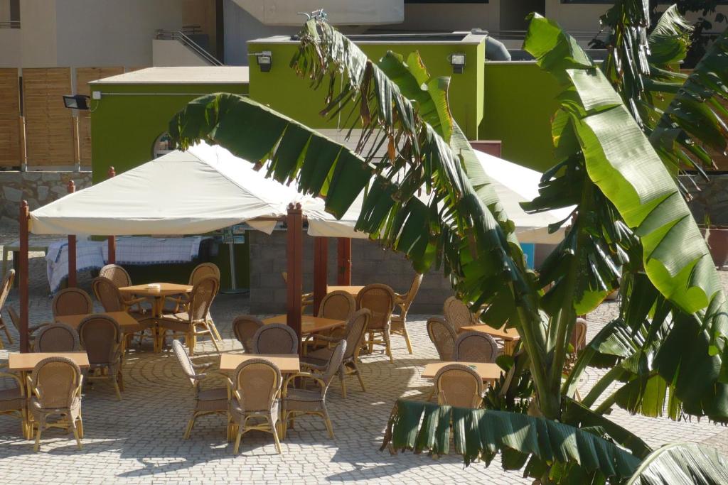 Terraza de Amadores — Restaurant & bars in Puerto Rico, Canary Islands