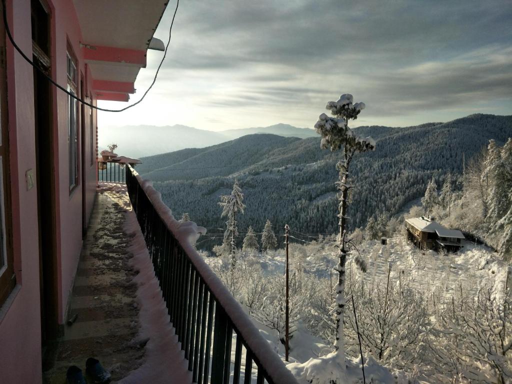Homestay in Kufri - Silvermoon Homestay Cheog photo