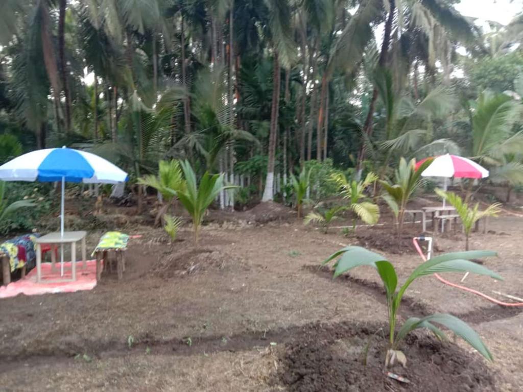 Ballaleshwar cottage photo