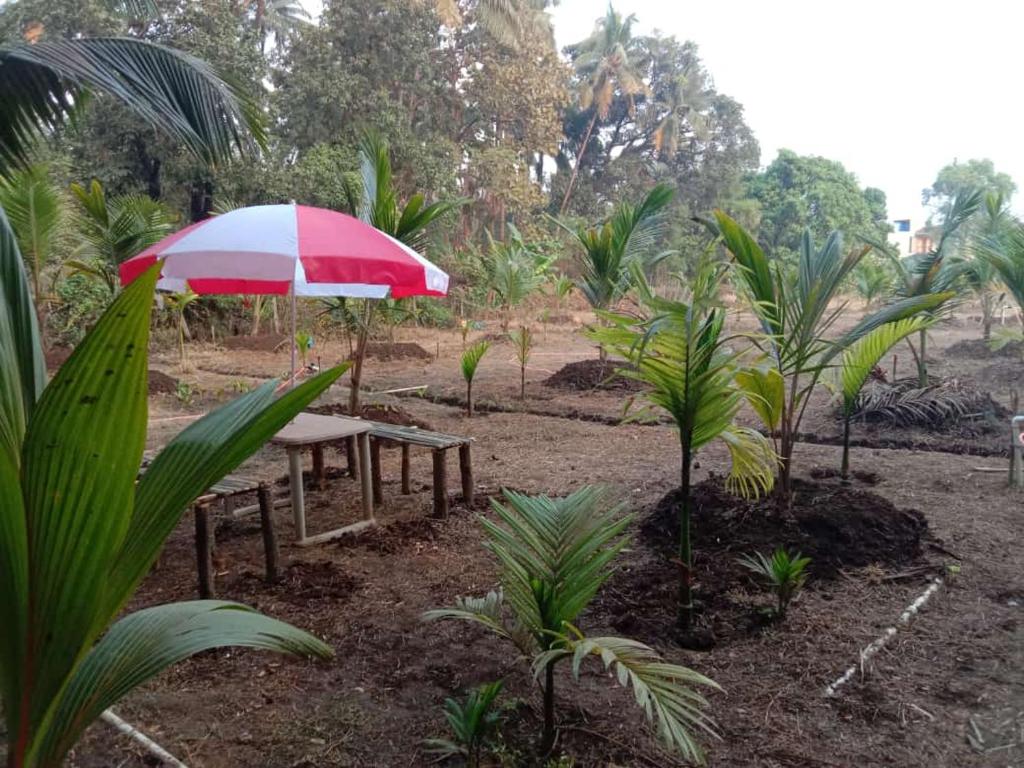 Ballaleshwar cottage photo