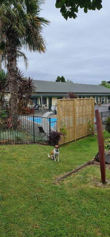 ASURE Kaimai View Motel photo