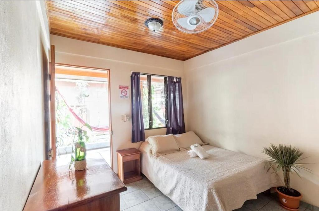Cocobolo Surf Hotel & School photo