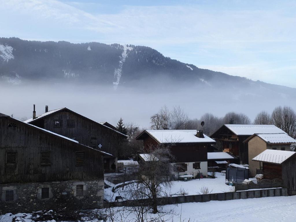 Studio lumineux pour 4 pers, animaux admis, wifi inclus, au centre de Samoëns - FR-1-629-120 - 5