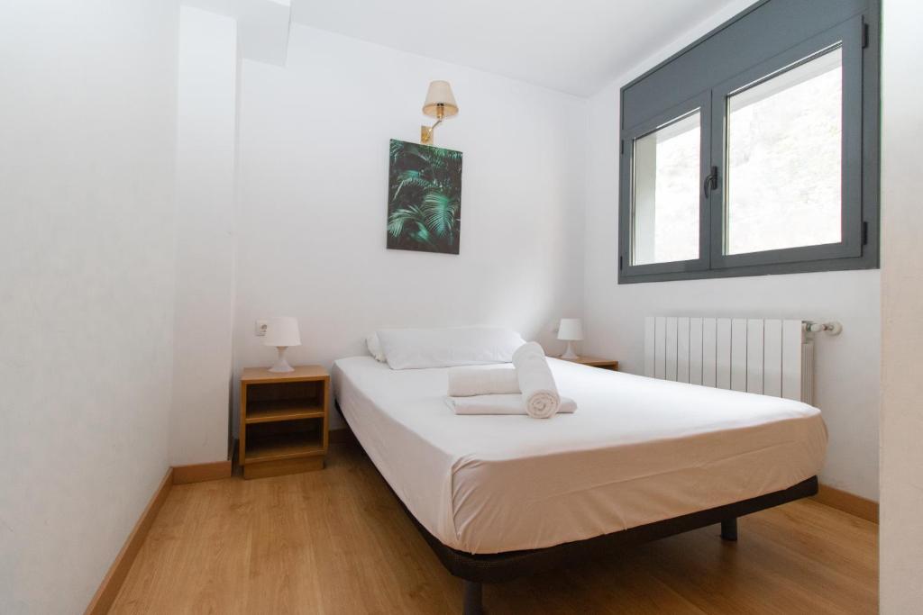 Apartamentos Canillo 3000 - 2