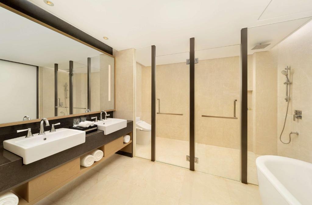 Radisson Blu Hotel Wuhan ETD Zone - Facilities image