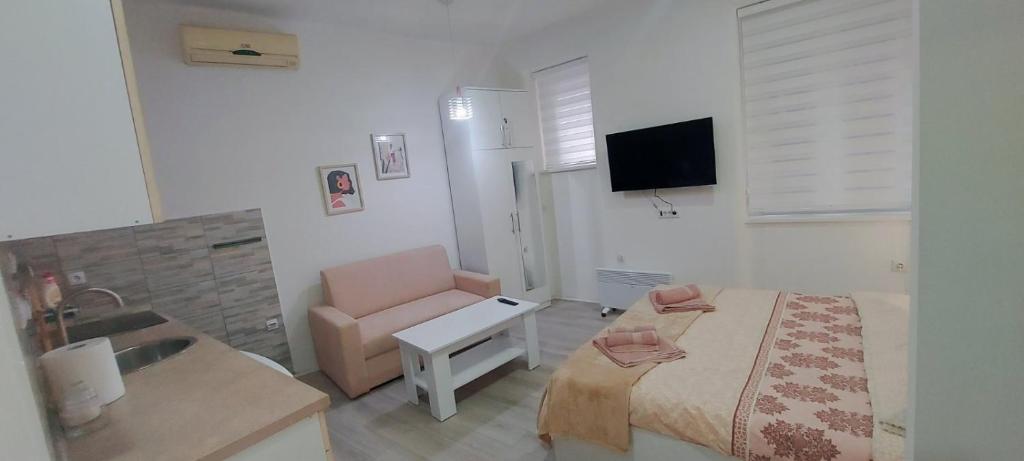 ZELENI VENAC Studio & Apartment - 1