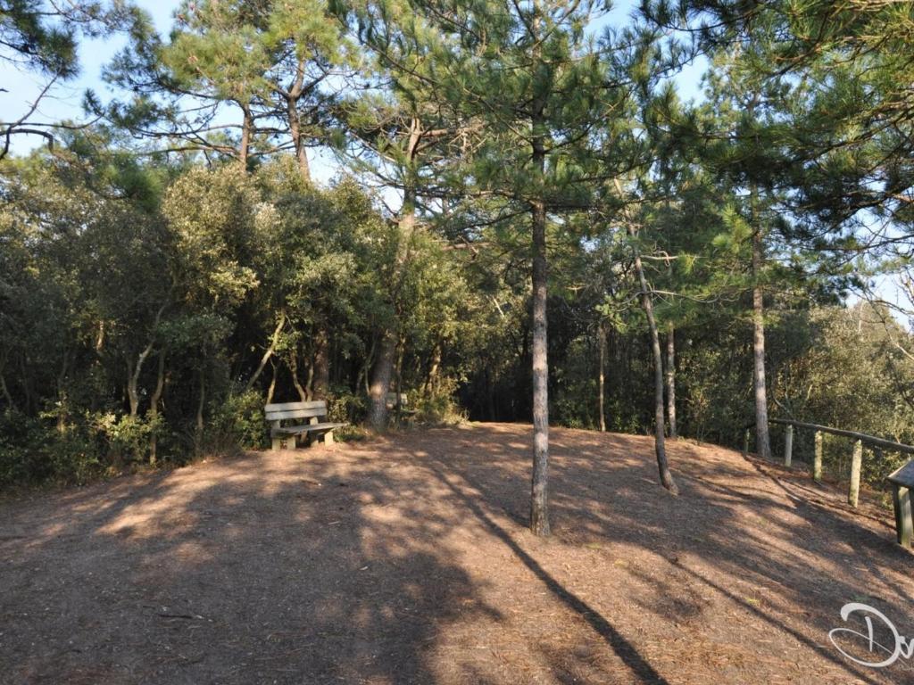 Bel appartement 1 chambre pour 5 personnes au bord de la mer à Saint-Jean-de-Monts - FR-1-323-216 - 3