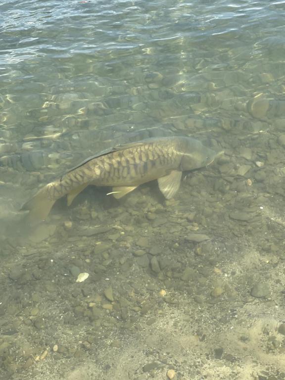 Recreational facilities