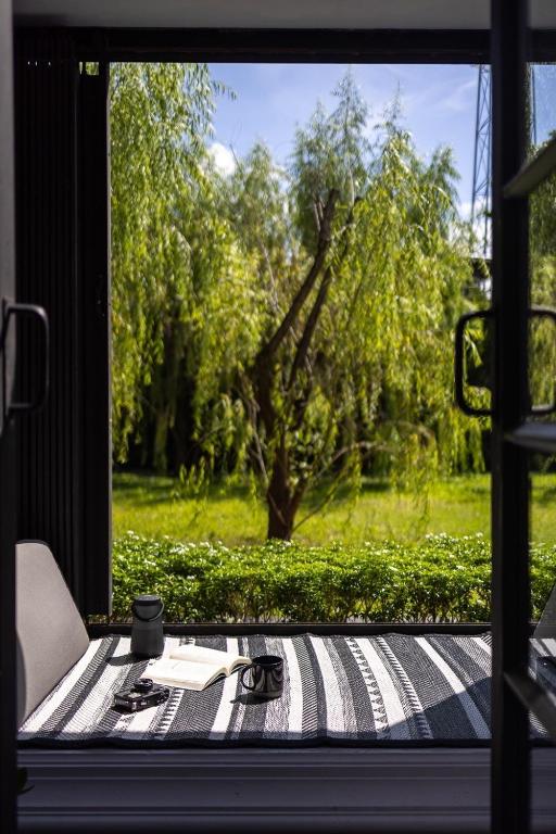 Surrounding environment