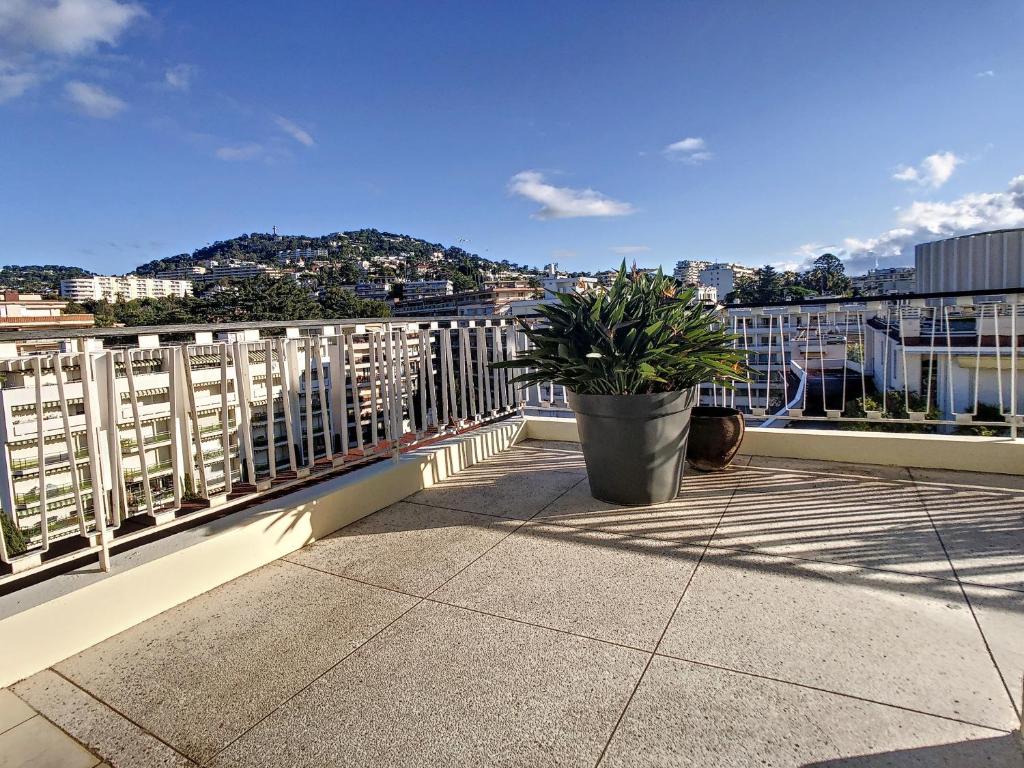 Penthhouse 1 & 2 bedroom apartment 2 mins from the Croisette 335 - 2