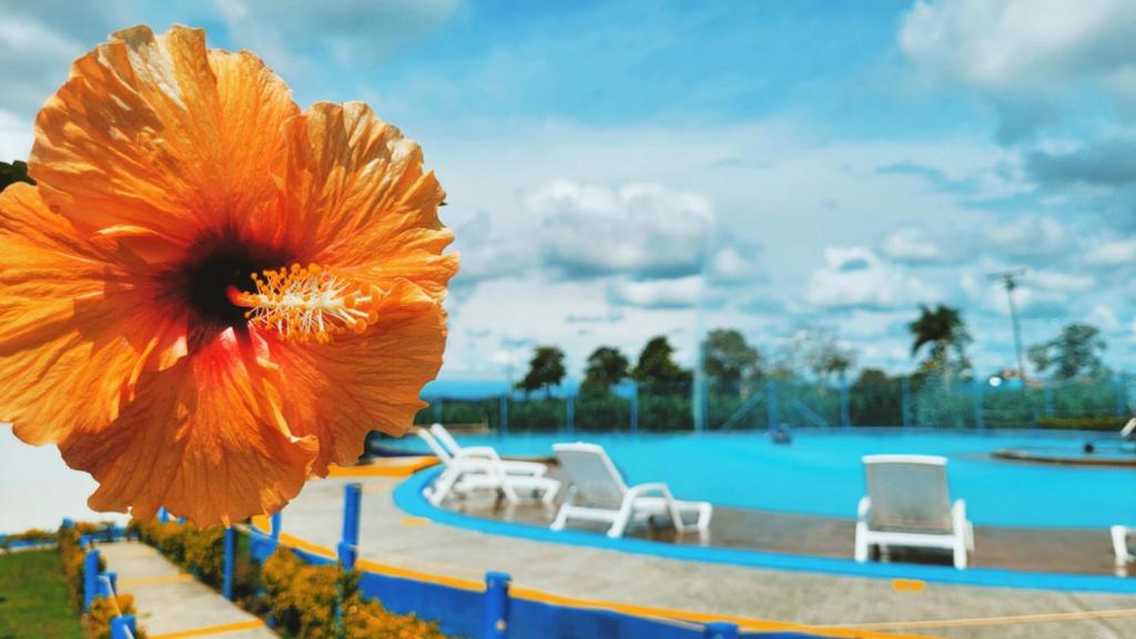 APARTAMENTO en el QUINDÍO cerca al PARQUE DEL CAFÉ - 2