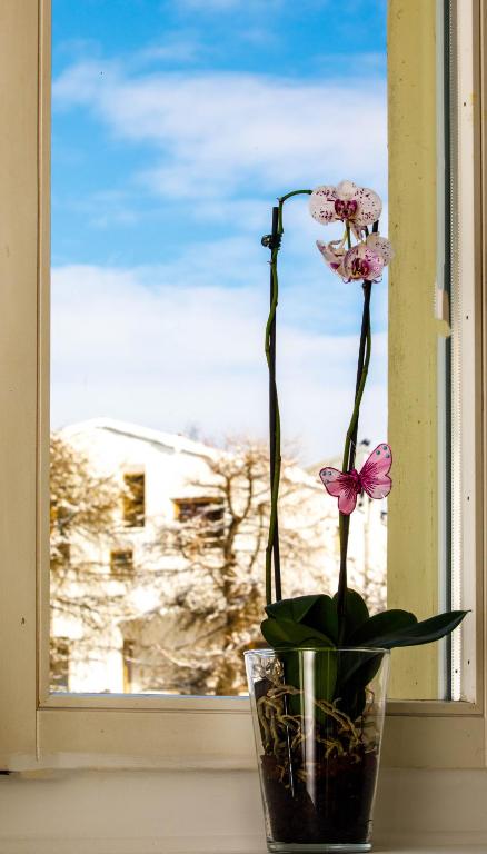 Zentrum Haus Davos photo