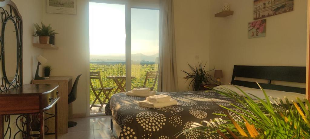 Thalassa Seaside Boutique Beach Apartment — Hotel in Polis