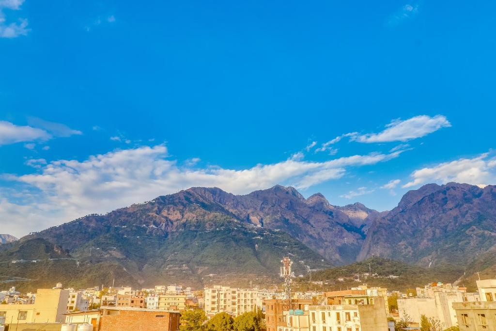 1. 호텔 칼카 로얄..