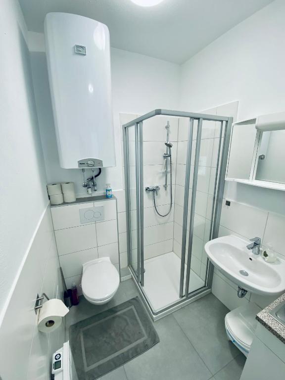 Einzimmer-Apartment 25 m2 Gartenzinken im Zentrum von Bad Ischl - 4