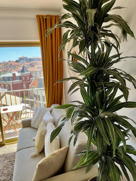 Superb top floor studio, Biarritz center. - 3